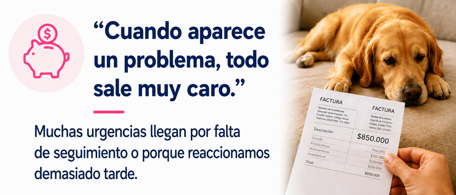 Hoteles y Guarderías