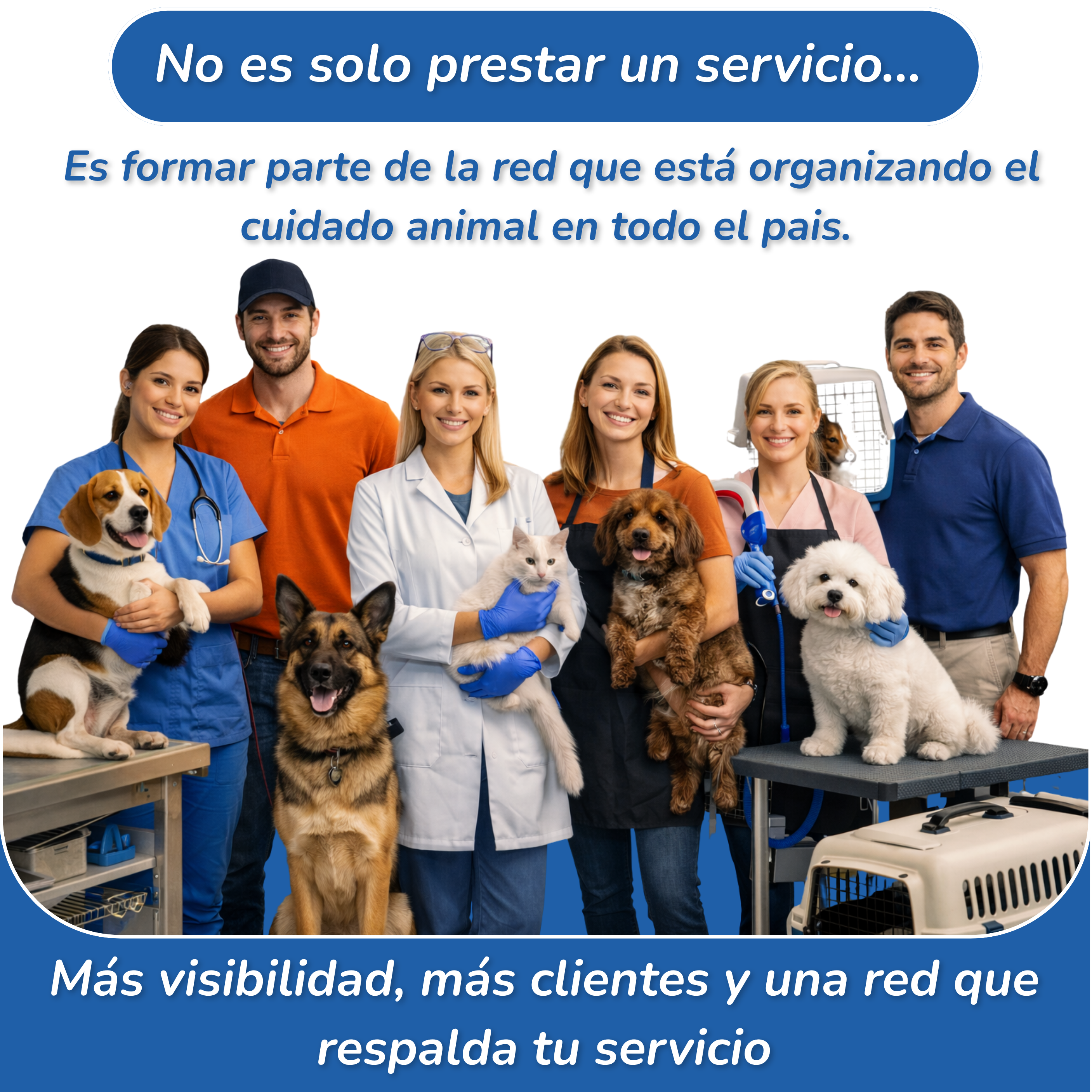 Red de aliados RedMascota