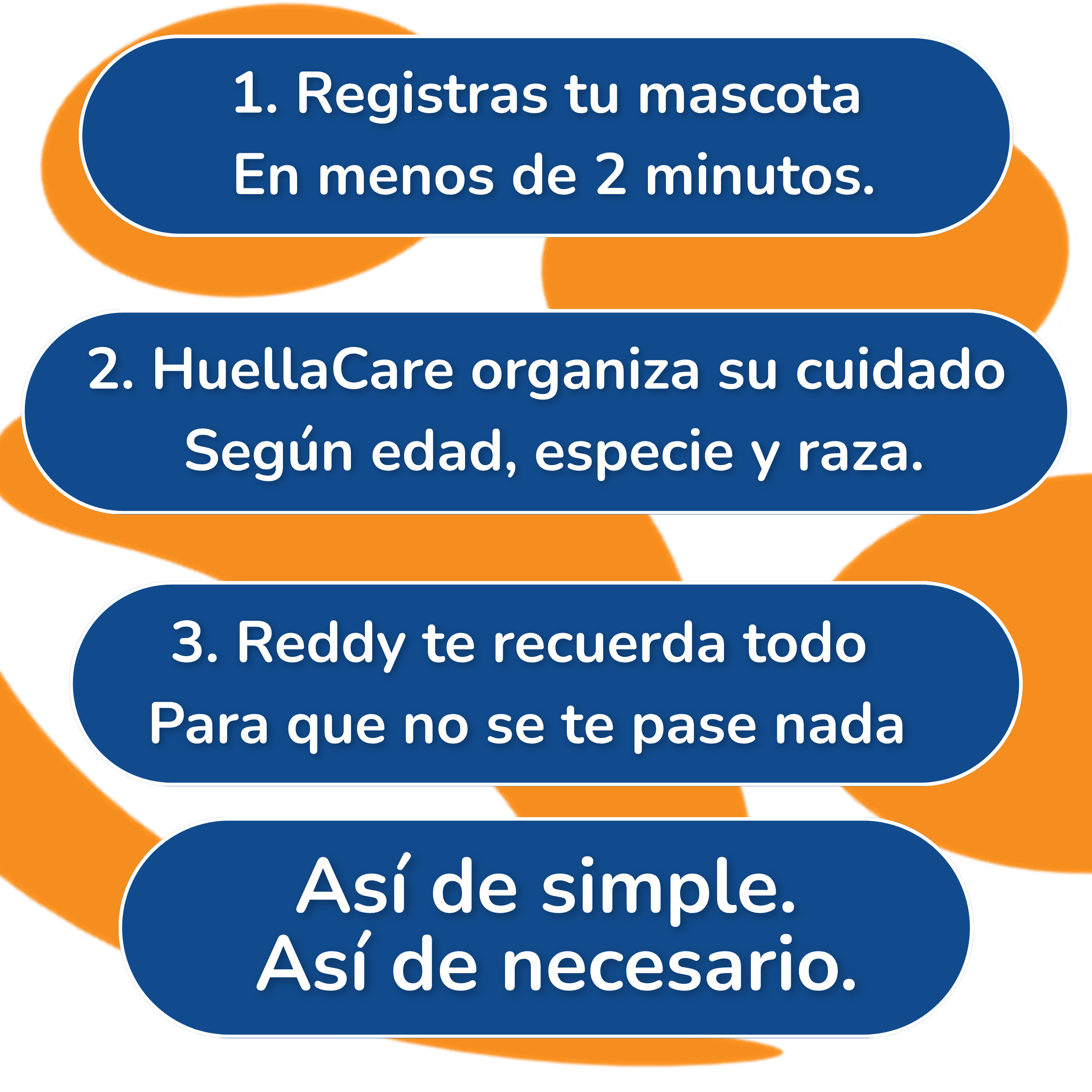 Esquema de tres pasos: registrar, organizar y recordar el cuidado de tu mascota