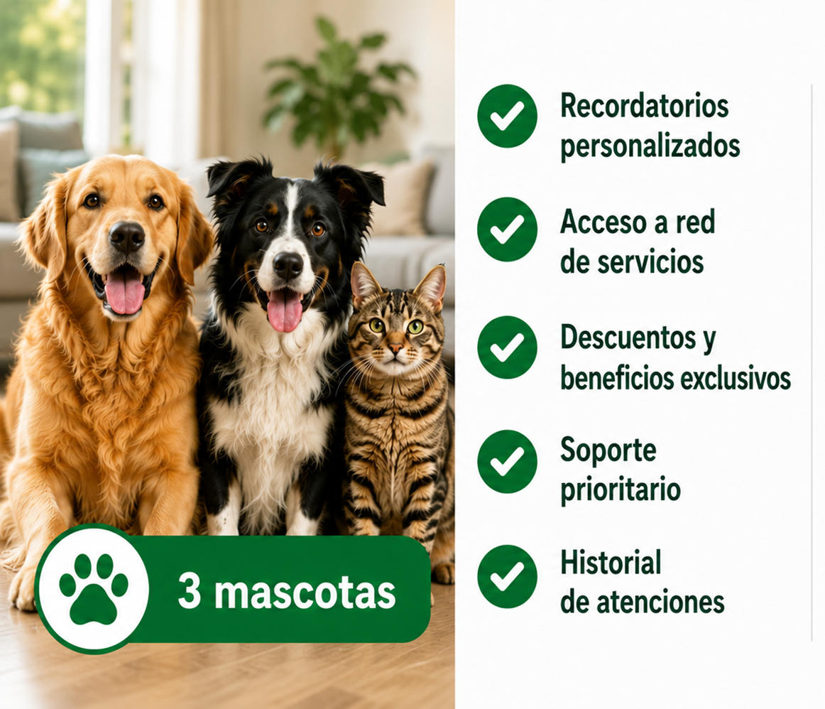 Plan Multimascota